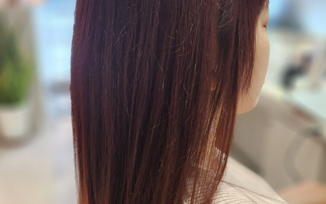 皆様、札幌も日に日に雪景色が深まっておりますが、いかがお過ご